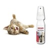 Beaphar Play Spray Catnipli Kedi Otu Spreyi 150 Ml Beaphar Play Spray Catnipli Kedi Otu Spreyi 150 Ml
