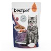 BestPet Adult Jelly Pouch Somonlu Yaş Kedi Maması 85 Gr BestPet Adult Jelly Pouch Somonlu Yaş Kedi Maması 85 Gr