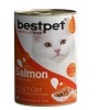 Bestpet Somonlu Jöleli Yetişkin Konserve Kedi Maması 400 Gr Bestpet Somonlu Jöleli Yetişkin Konserve Kedi Maması 400 Gr