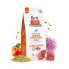 Brit Care Hypo-Allergenic Kuzu Etli Orta Irk Yetişkin Köpek Mamasi 3 Kg Brit Care Hypo-Allergenic Kuzu Etli Orta Irk Yetişkin Köpek Mamasi 3 Kg