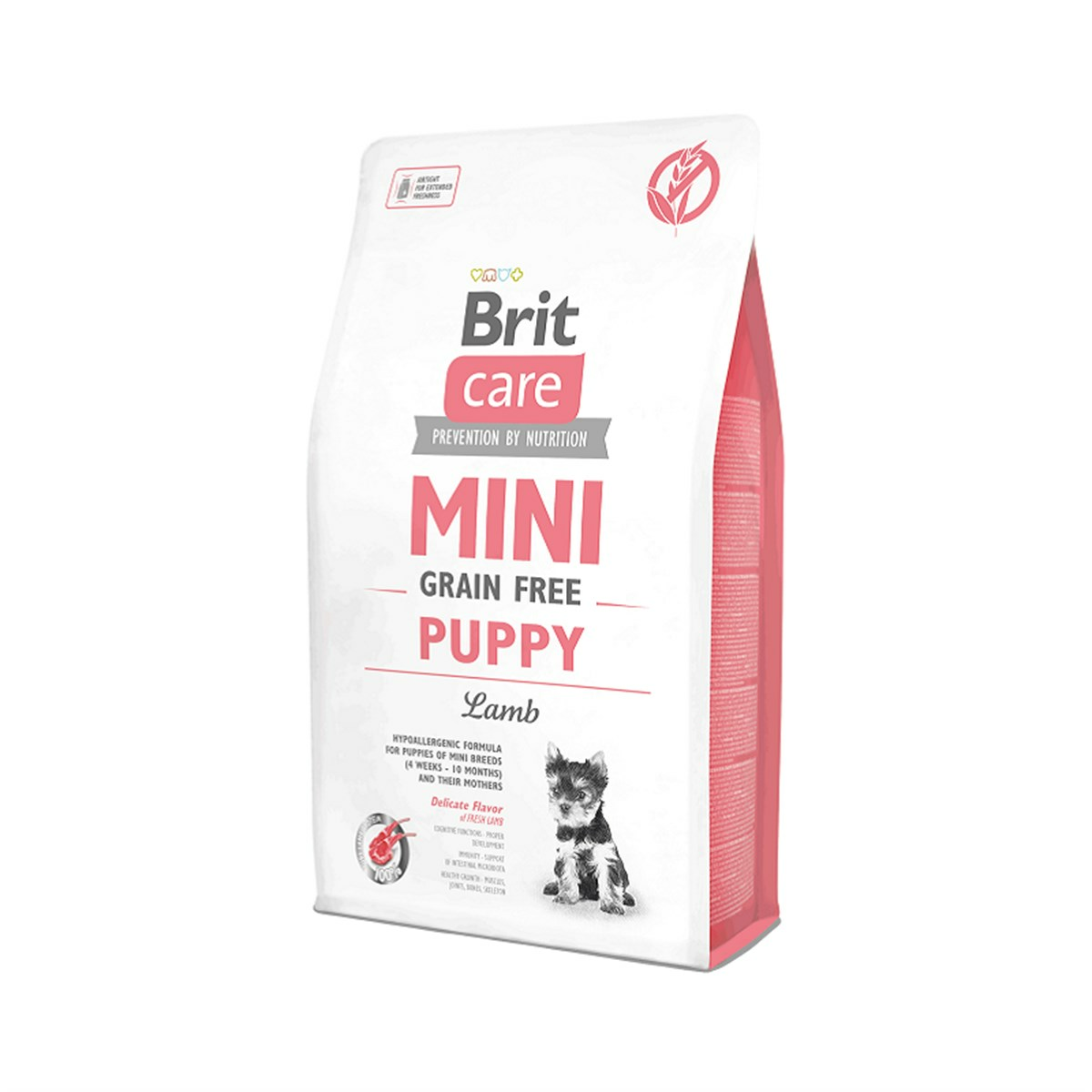 Brit Care Mini Puppy Küçük Irk Kuzulu Yavru Köpek Maması 2 Kg Brit Care Mini Puppy Küçük Irk Kuzulu Yavru Köpek Maması 2 Kg