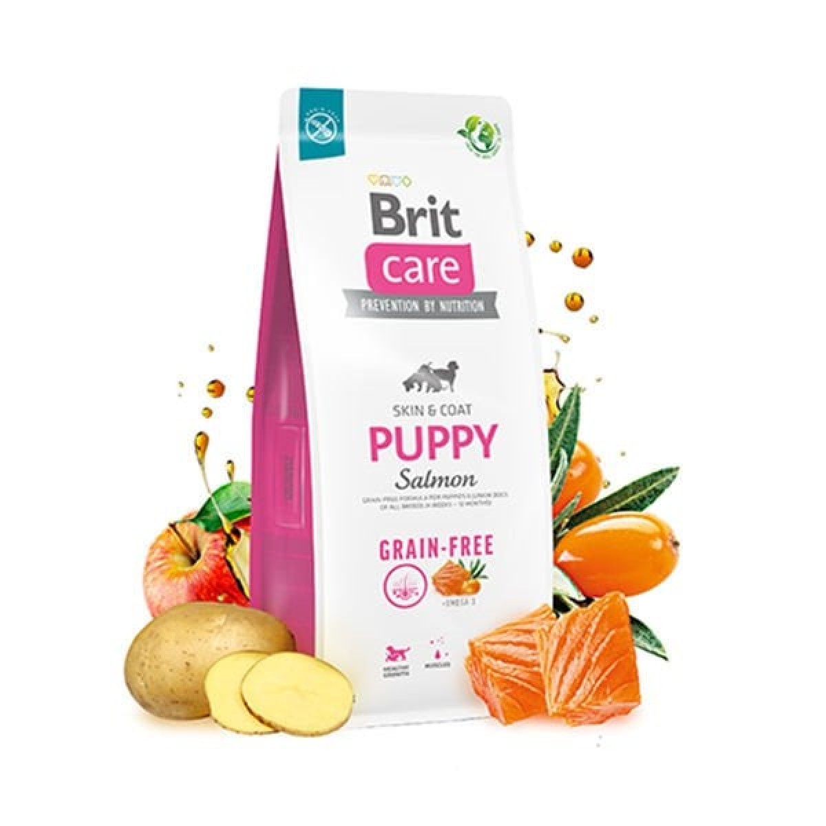 Brit Care Puppy Tahılsız Skin & Coat Somonlu Yavru Köpek Maması 3 Kg Brit Care Puppy Tahılsız Skin & Coat Somonlu Yavru Köpek Maması 3 Kg