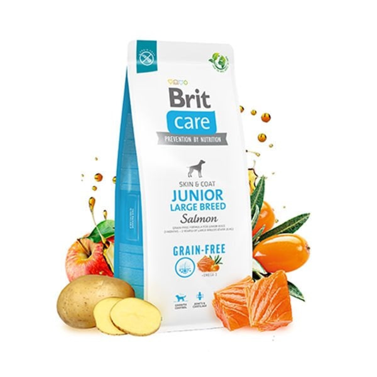 Brit Care Tahılsız Skin & Coat Somonlu Büyük Irk Yavru Köpek Maması 12 Kg