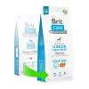 Brit Care Tahılsız Skin & Coat Somonlu Büyük Irk Yavru Köpek Maması 12 Kg