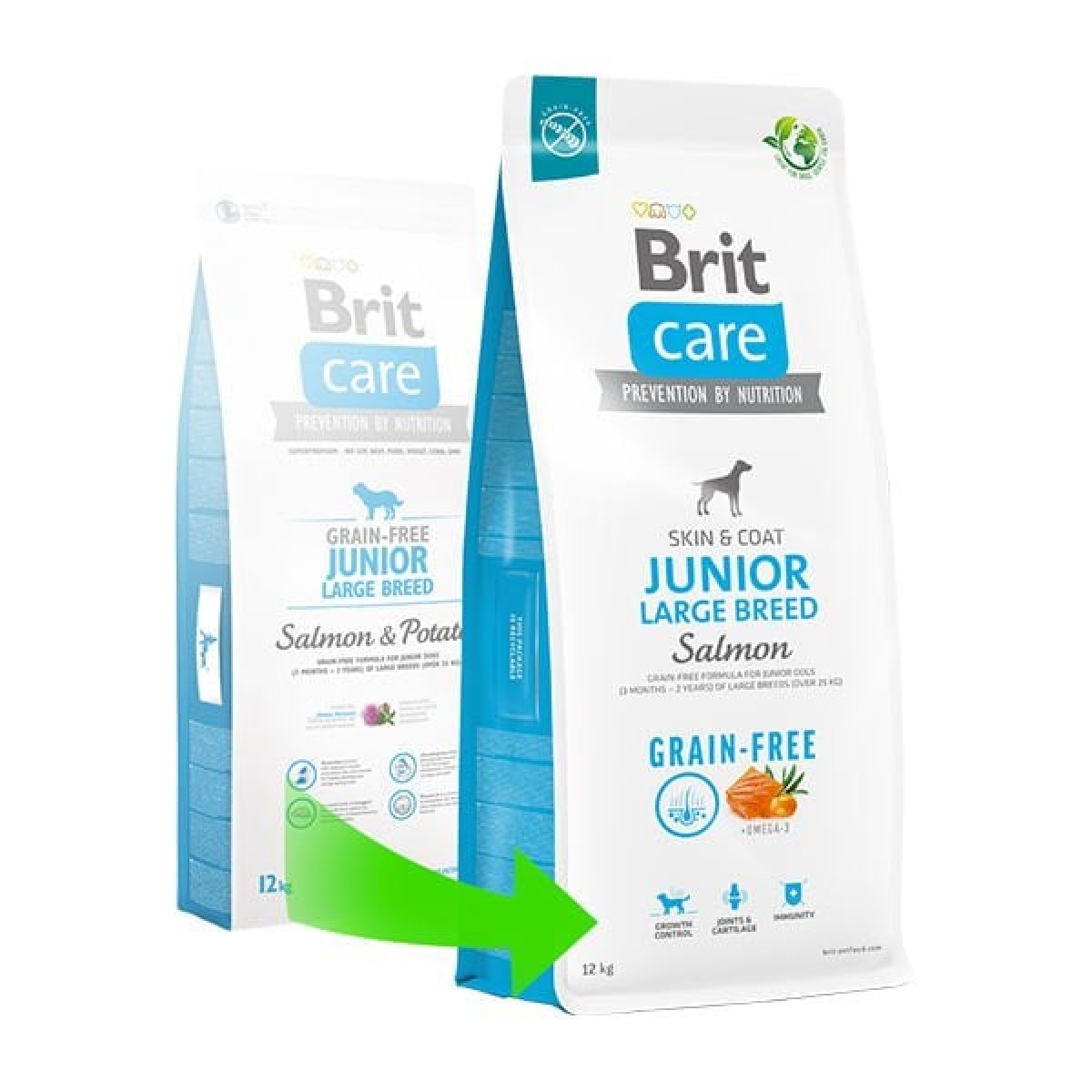 Brit Care Tahılsız Skin & Coat Somonlu Büyük Irk Yavru Köpek Maması 12 Kg