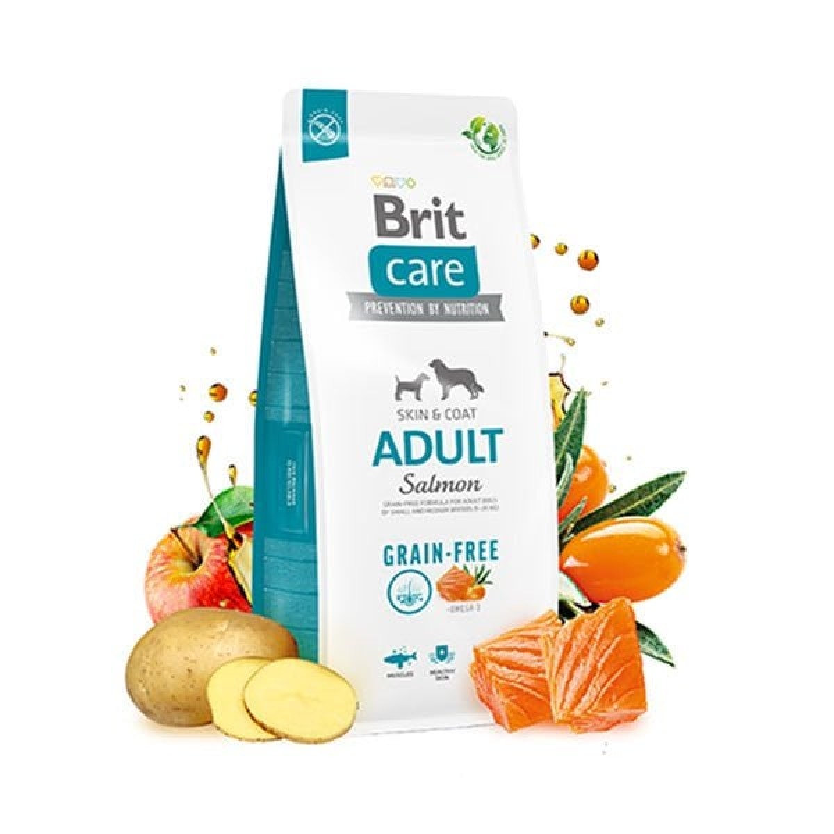 Brit Care Tahılsız Skin & Coat Somonlu Yetişkin Köpek Maması 12 Kg