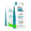 Brit Care Tahılsız Skin & Coat Somonlu Yetişkin Köpek Maması 12 Kg