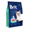 Brit Premium Sensitive Kuzu Etli Yetişkin Kedi Maması 8 Kg Brit Premium Sensitive Kuzu Etli Yetişkin Kedi Maması 8 Kg