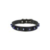 Cattie Boncuklu Deri Küçük Irk Köpek ve Kedi Boyun Tasması Xlarge Siyah 1.5x26-30 Cm Cattie Boncuklu Deri Küçük Irk Köpek ve Kedi Boyun Tasması Xlarge Siyah 1.5x26-30 Cm