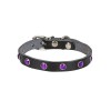 Cattie Gerçek Deriden Taşlı Kedi Boyun Tasması Medium Siyah 1x20-23 Cm Cattie Gerçek Deriden Taşlı Kedi Boyun Tasması Medium Siyah 1x20-23 Cm