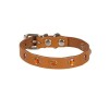 Cattie Gerçek Deriden Taşlı Kedi Boyun Tasması Small Camel 1x16-20 Cm Cattie Gerçek Deriden Taşlı Kedi Boyun Tasması Small Camel 1x16-20 Cm