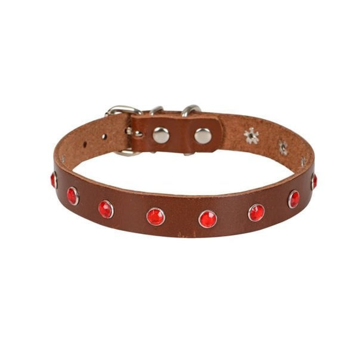 Cattie Gerçek Deriden Taşlı Kedi Boyun Tasması Xlarge Kahverengi 1.5x26-31 Cm Cattie Gerçek Deriden Taşlı Kedi Boyun Tasması Xlarge Kahverengi 1.5x26-31 Cm