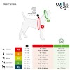 Curli Basic Air-Mesh Köpek Göğüs Tasması Kırmızı Xlarge 54-62x44 Cm Curli Basic Air-Mesh Köpek Göğüs Tasması Kırmızı Xlarge 54-62x44 Cm