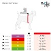 Curli Magnetic Vest Köpek Göğüs Tasması Siyah Xxsmall 30-35 Cm Curli Magnetic Vest Köpek Göğüs Tasması Siyah Xxsmall 30-35 Cm