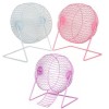 Dayang Eğlenceli Hamster Çarkı Boyalı 15x21.5 Cm Dayang Eğlenceli Hamster Çarkı Boyalı 15x21.5 Cm