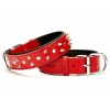 Doggie Comfort Deri Çivili Köpek Boyun Tasması Medium Kırmızı 4x52-60 Cm Doggie Comfort Deri Çivili Köpek Boyun Tasması Medium Kırmızı 4x52-60 Cm