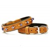Doggie Comfort Deri Nazar Boncuklu Köpek Boyun Tasması Medium Camel 2.5x37-45 Cm Doggie Comfort Deri Nazar Boncuklu Köpek Boyun Tasması Medium Camel 2.5x37-45 Cm