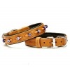 Doggie Comfort Deri Nazar Boncuklu Köpek Boyun Tasması Medium Camel 2.5x37-45 Cm Doggie Comfort Deri Nazar Boncuklu Köpek Boyun Tasması Medium Camel 2.5x37-45 Cm