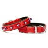 Doggie Comfort Deri Nazar Boncuklu Köpek Boyun Tasması Medium Kırmızı 2.5x37-45 Cm Doggie Comfort Deri Nazar Boncuklu Köpek Boyun Tasması Medium Kırmızı 2.5x37-45 Cm