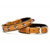 Doggie Comfort Deri Nazar Boncuklu Köpek Boyun Tasması Small Camel 2x30-35 Cm Doggie Comfort Deri Nazar Boncuklu Köpek Boyun Tasması Small Camel 2x30-35 Cm