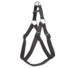 Doggie Comfort Dokuma Ronin Köpek Göğüs Tasması Xlarge Siyah 2.5x65-75 Cm Doggie Comfort Dokuma Ronin Köpek Göğüs Tasması Xlarge Siyah 2.5x65-75 Cm