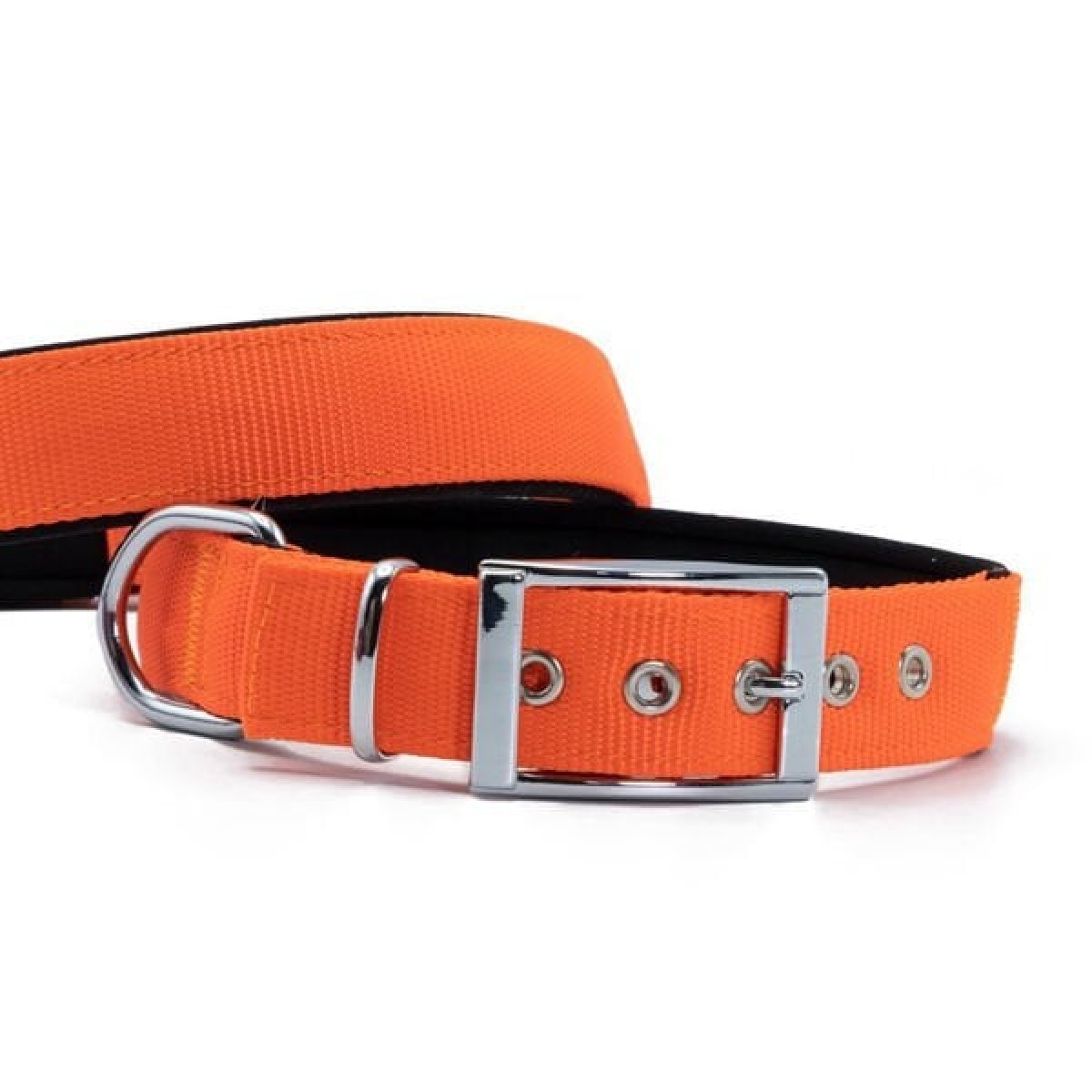 Doggie Elit Dokuma Köpek Boyun Tasması Large Turuncu 3x47-55 Cm Doggie Elit Dokuma Köpek Boyun Tasması Large Turuncu 3x47-55 Cm