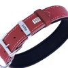 Doggie Konfor Deri Köpek Boyun Tasması Medium Kırmızı 4x52 60 Cm Doggie Konfor Deri Köpek Boyun Tasması Medium Kırmızı 4x52 60 Cm