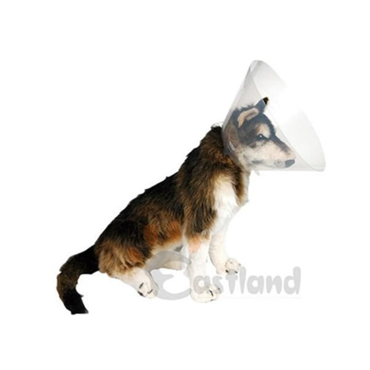 Eastland Elizabeth Köpek Yakalık 12.5 Cm Eastland Elizabeth Köpek Yakalık 12.5 Cm