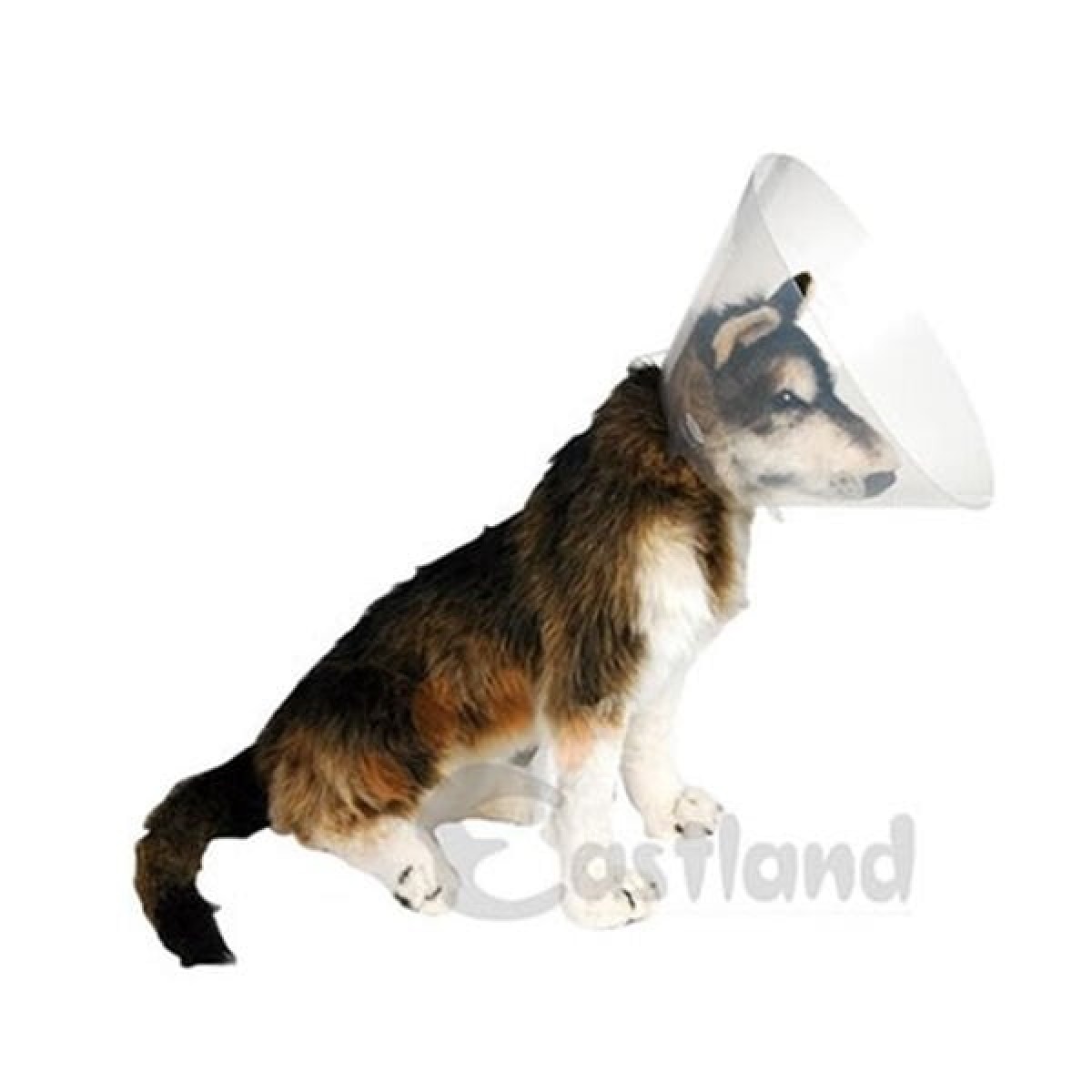 Eastland Köpek Kedi ve Köpek Elizabeth Yakalığı 20 Cm Eastland Köpek Kedi ve Köpek Elizabeth Yakalığı 20 Cm