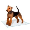Ferplast Genico Köpek Tuvalet Eğitim Pedi Large 10 Adet 60x90 Cm Ferplast Genico Köpek Tuvalet Eğitim Pedi Large 10 Adet 60x90 Cm