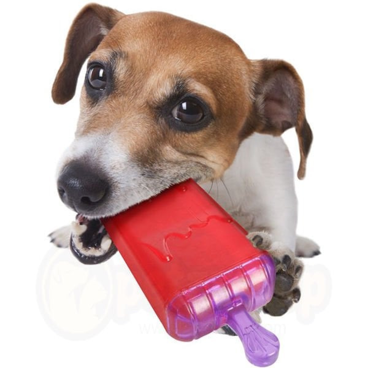 Flamingo Lolly Dondurma Şekilli Kauçuk Köpek Oyuncağı 64 Cm Flamingo Lolly Dondurma Şekilli Kauçuk Köpek Oyuncağı 64 Cm