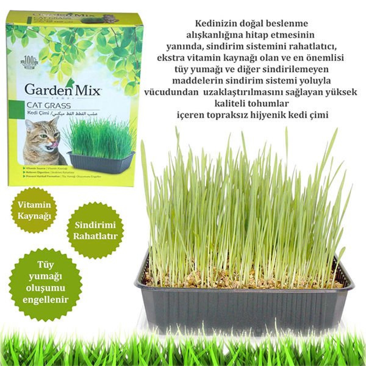 Garden Mix Kedi Çimi Garden Mix Kedi Çimi