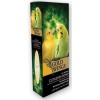 Gold Wings Premium Doğal Mürekkep Baliği Kemiği Small Gold Wings Premium Doğal Mürekkep Baliği Kemiği Small