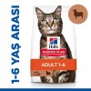 Hills Adult Kuzu Etli Yetişkin Kedi Maması 8+2 Kg Hills Adult Kuzu Etli Yetişkin Kedi Maması 8+2 Kg