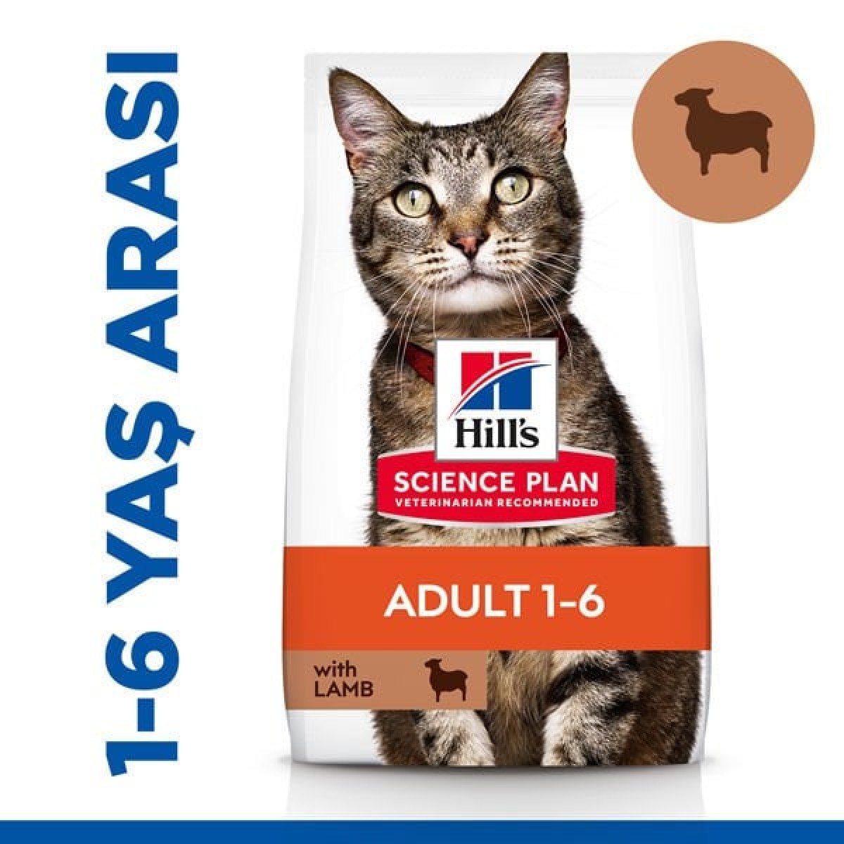 Hills Adult Kuzu Etli Yetişkin Kedi Maması 8+2 Kg Hills Adult Kuzu Etli Yetişkin Kedi Maması 8+2 Kg