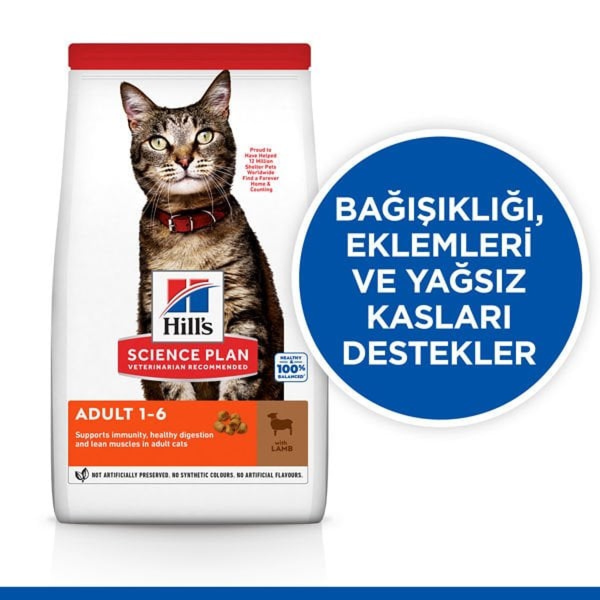 Hills Adult Kuzu Etli Yetişkin Kedi Maması 8+2 Kg Hills Adult Kuzu Etli Yetişkin Kedi Maması 8+2 Kg