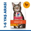 Hills Adult Optimal Care Tavuklu Yetişkin Kedi Maması 1.5 Kg Hills Adult Optimal Care Tavuklu Yetişkin Kedi Maması 1.5 Kg
