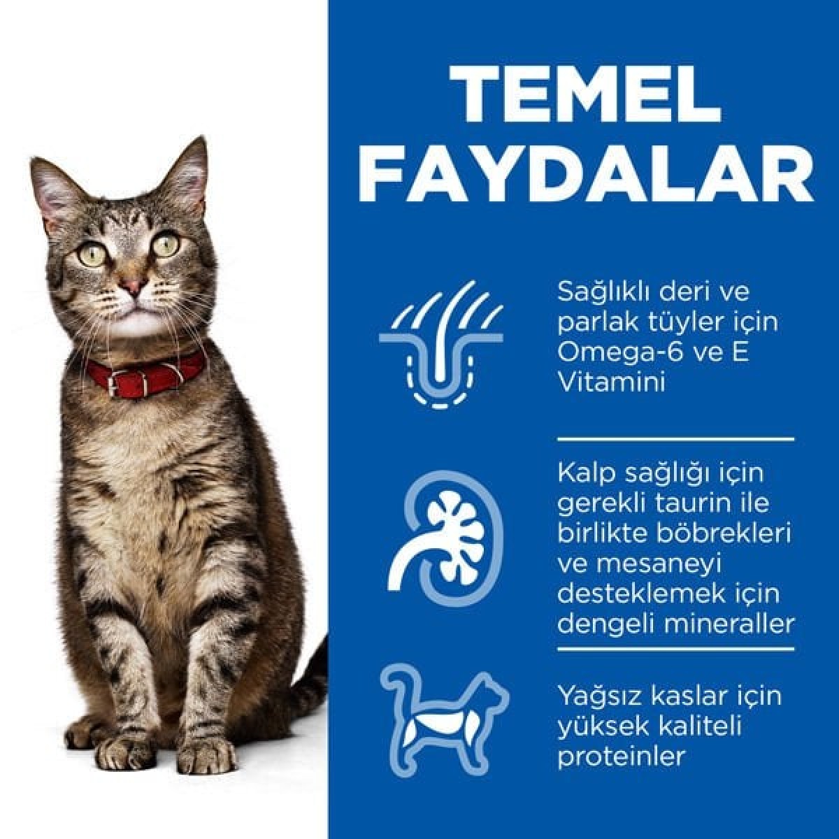 Hills Adult Optimal Care Tavuklu Yetişkin Kedi Maması 1.5 Kg Hills Adult Optimal Care Tavuklu Yetişkin Kedi Maması 1.5 Kg
