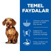 Hills Adult Perfect Weight Mini Tavuklu Küçük Irk Yetişkin Köpek Maması 1.5 Kg Hills Adult Perfect Weight Mini Tavuklu Küçük Irk Yetişkin Köpek Maması 1.5 Kg