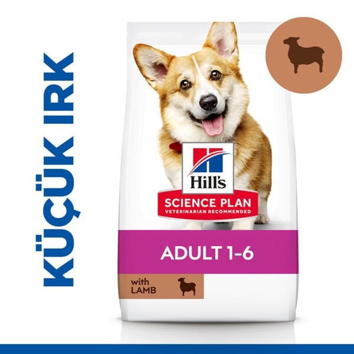 Hills Adult Small Küçük Irk Kuzulu Yetişkin Köpek Maması 5 Kg+1 Kg Hediyeli Hills Adult Small Küçük Irk Kuzulu Yetişkin Köpek Maması 5 Kg+1 Kg Hediyeli
