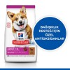 Hills Adult Small Küçük Irk Kuzulu Yetişkin Köpek Maması 5 Kg+1 Kg Hediyeli Hills Adult Small Küçük Irk Kuzulu Yetişkin Köpek Maması 5 Kg+1 Kg Hediyeli
