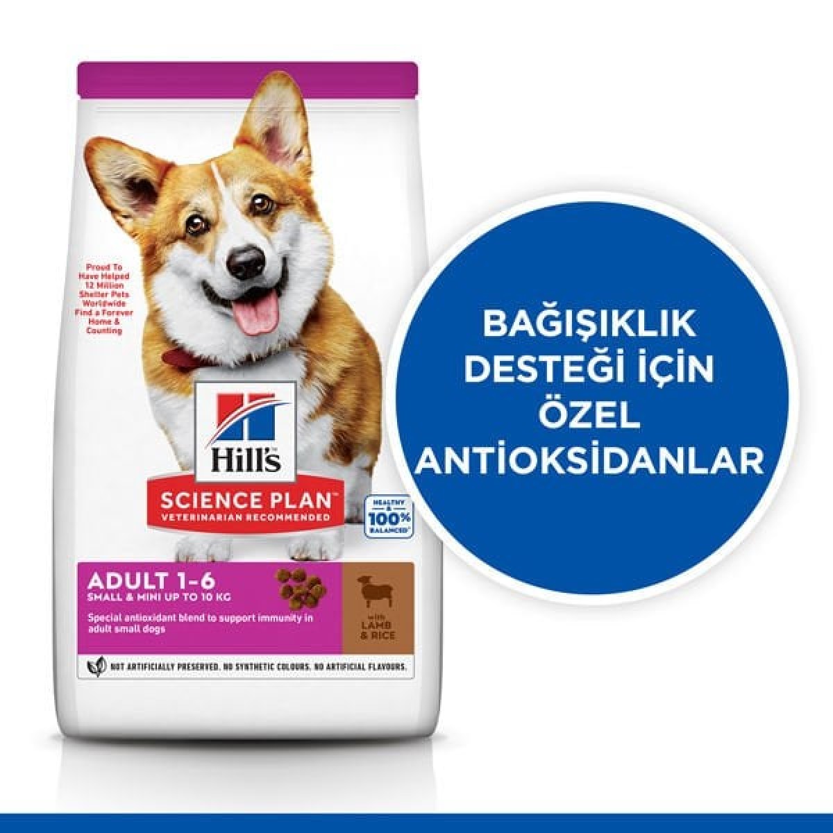 Hills Adult Small Küçük Irk Kuzulu Yetişkin Köpek Maması 5 Kg+1 Kg Hediyeli Hills Adult Small Küçük Irk Kuzulu Yetişkin Köpek Maması 5 Kg+1 Kg Hediyeli