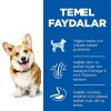 Hills Adult Small Küçük Irk Kuzulu Yetişkin Köpek Maması 5 Kg+1 Kg Hediyeli Hills Adult Small Küçük Irk Kuzulu Yetişkin Köpek Maması 5 Kg+1 Kg Hediyeli