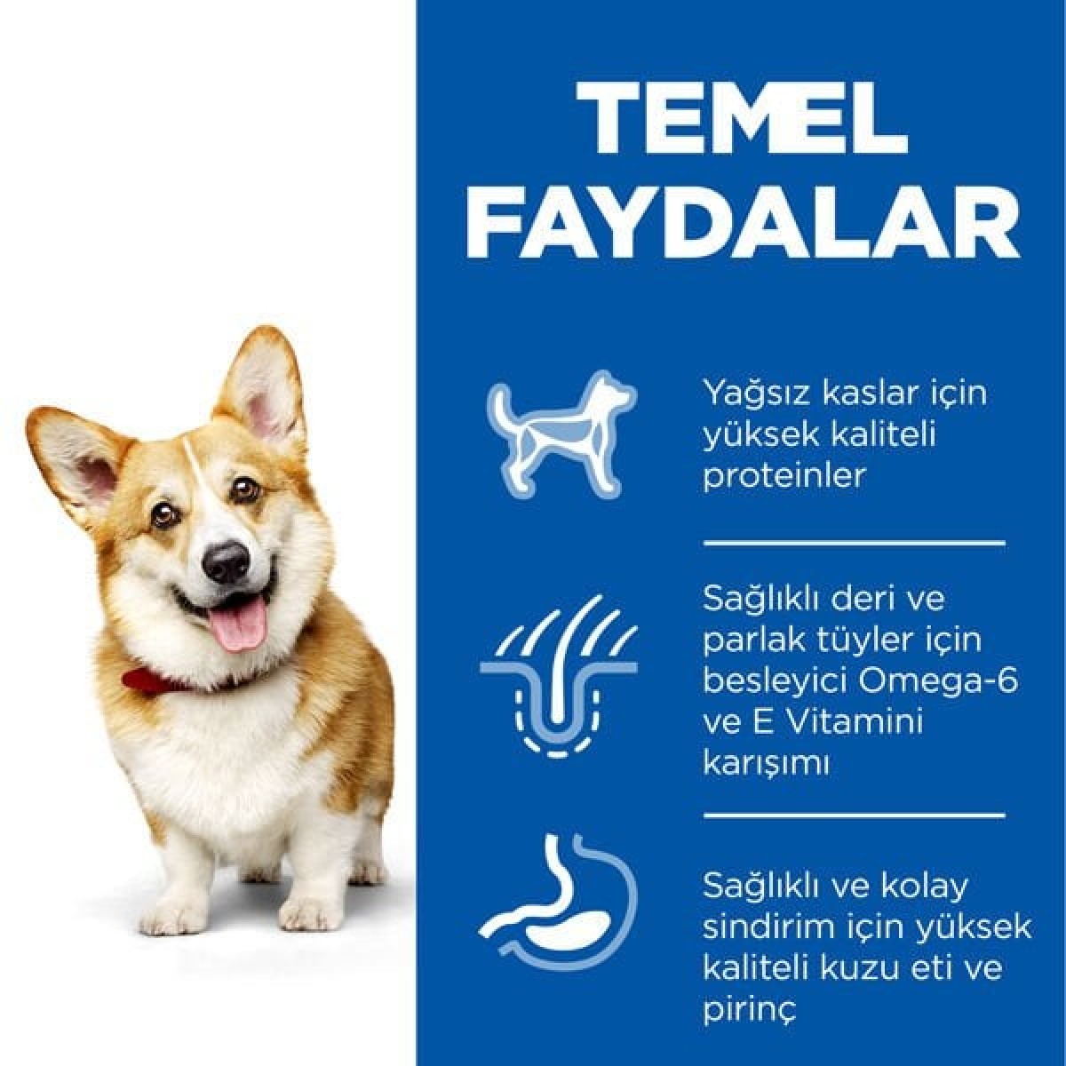Hills Adult Small Küçük Irk Kuzulu Yetişkin Köpek Maması 5 Kg+1 Kg Hediyeli Hills Adult Small Küçük Irk Kuzulu Yetişkin Köpek Maması 5 Kg+1 Kg Hediyeli