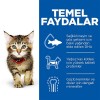 Hills Kitten Tavuklu Yavru Kedi Maması 1.5 Kg Hills Kitten Tavuklu Yavru Kedi Maması 1.5 Kg