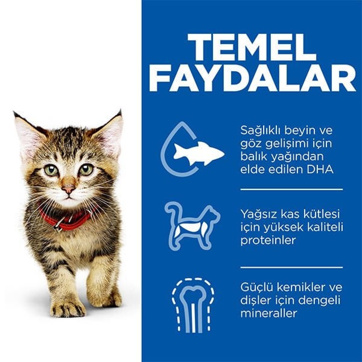 Hills Kitten Tavuklu Yavru Kedi Maması 1.5 Kg Hills Kitten Tavuklu Yavru Kedi Maması 1.5 Kg