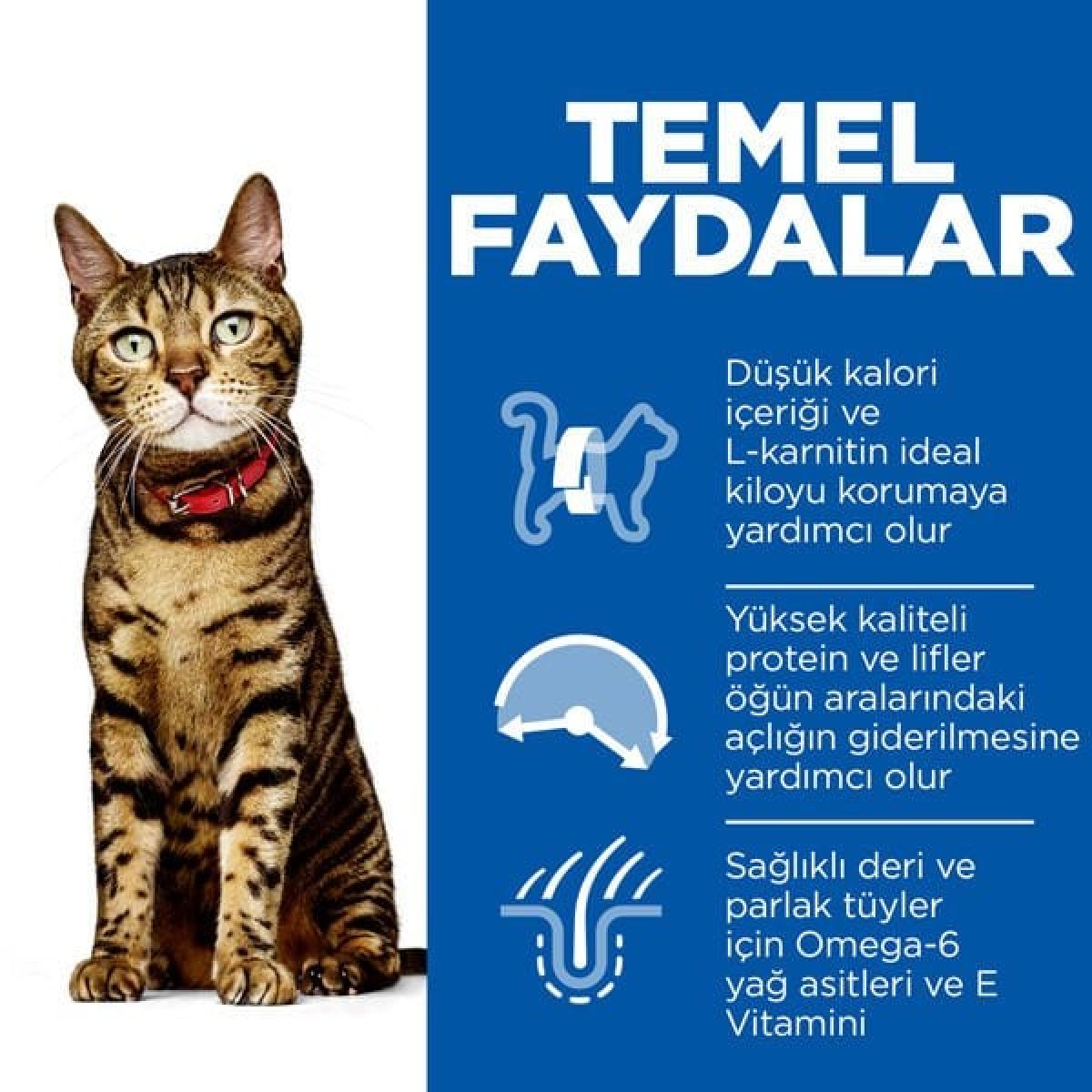 Hills Light Tavuklu Yetişkin Diyet Kedi Maması 3 Kg Hills Light Tavuklu Yetişkin Diyet Kedi Maması 3 Kg