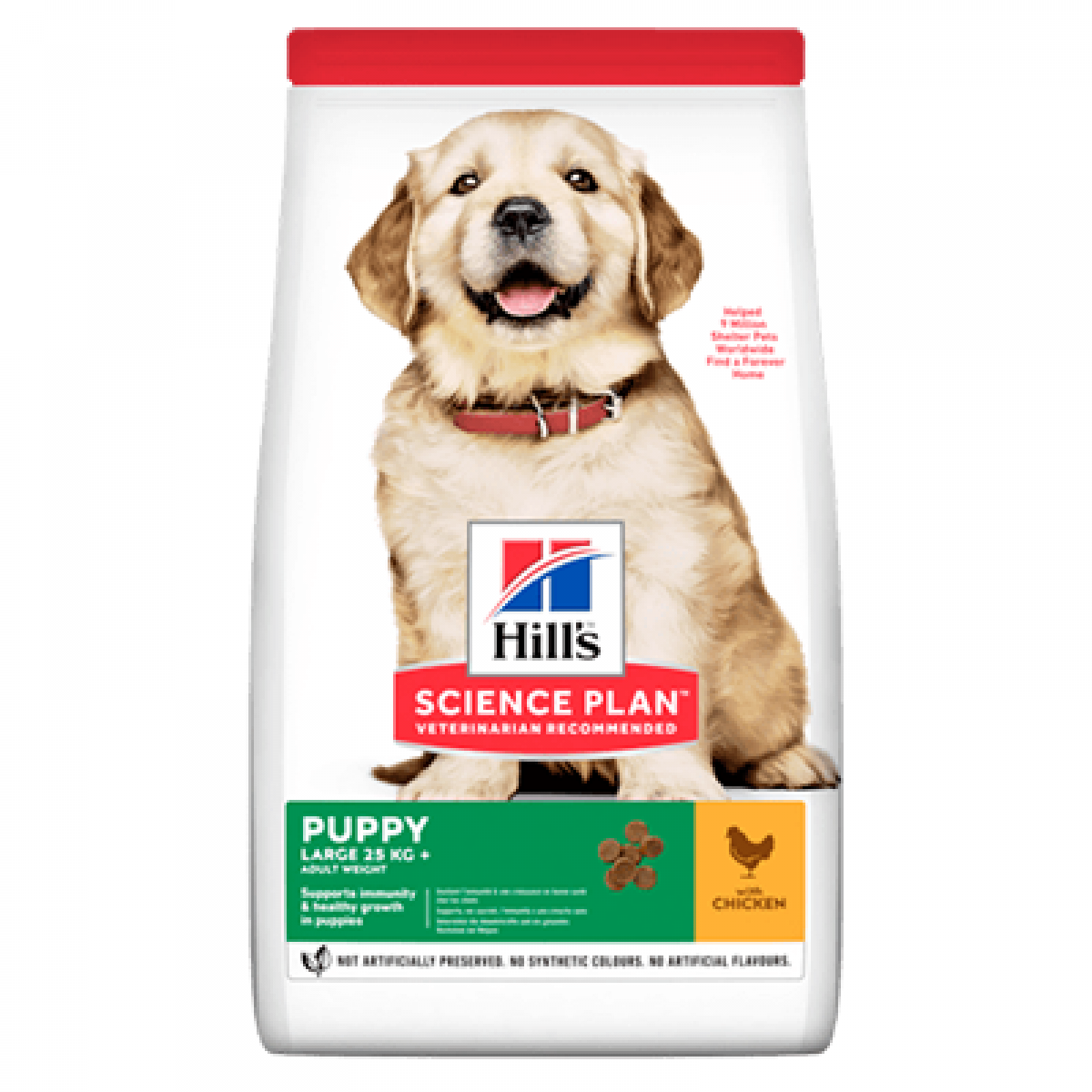 Hills Puppy Large Büyük Irk Yavru Köpek Maması 14.5 Kg Hills Puppy Large Büyük Irk Yavru Köpek Maması 14.5 Kg