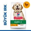 Hills Puppy Large Büyük Irk Yavru Köpek Maması 14.5 Kg Hills Puppy Large Büyük Irk Yavru Köpek Maması 14.5 Kg