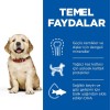 Hills Puppy Large Büyük Irk Yavru Köpek Maması 14.5 Kg Hills Puppy Large Büyük Irk Yavru Köpek Maması 14.5 Kg